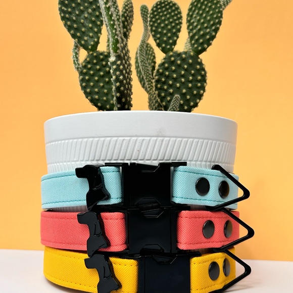 Plaid, Waterproof canvas,  Quick Release Dog collar - Picture 3 of 10